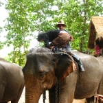 Schwieriger Aufgang auf den Elefanten